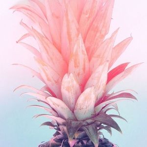 Meet your Posher, Elida